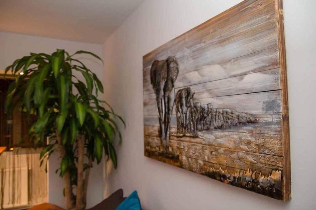 Colonial Touch Apartament Брашов Екстер'єр фото